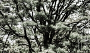 20170128_013624000_iOS
