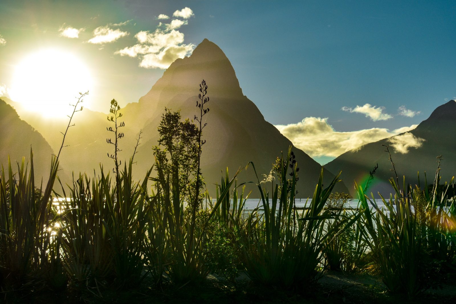 New Zealand (South) – We travel not to escape life, but for life not to